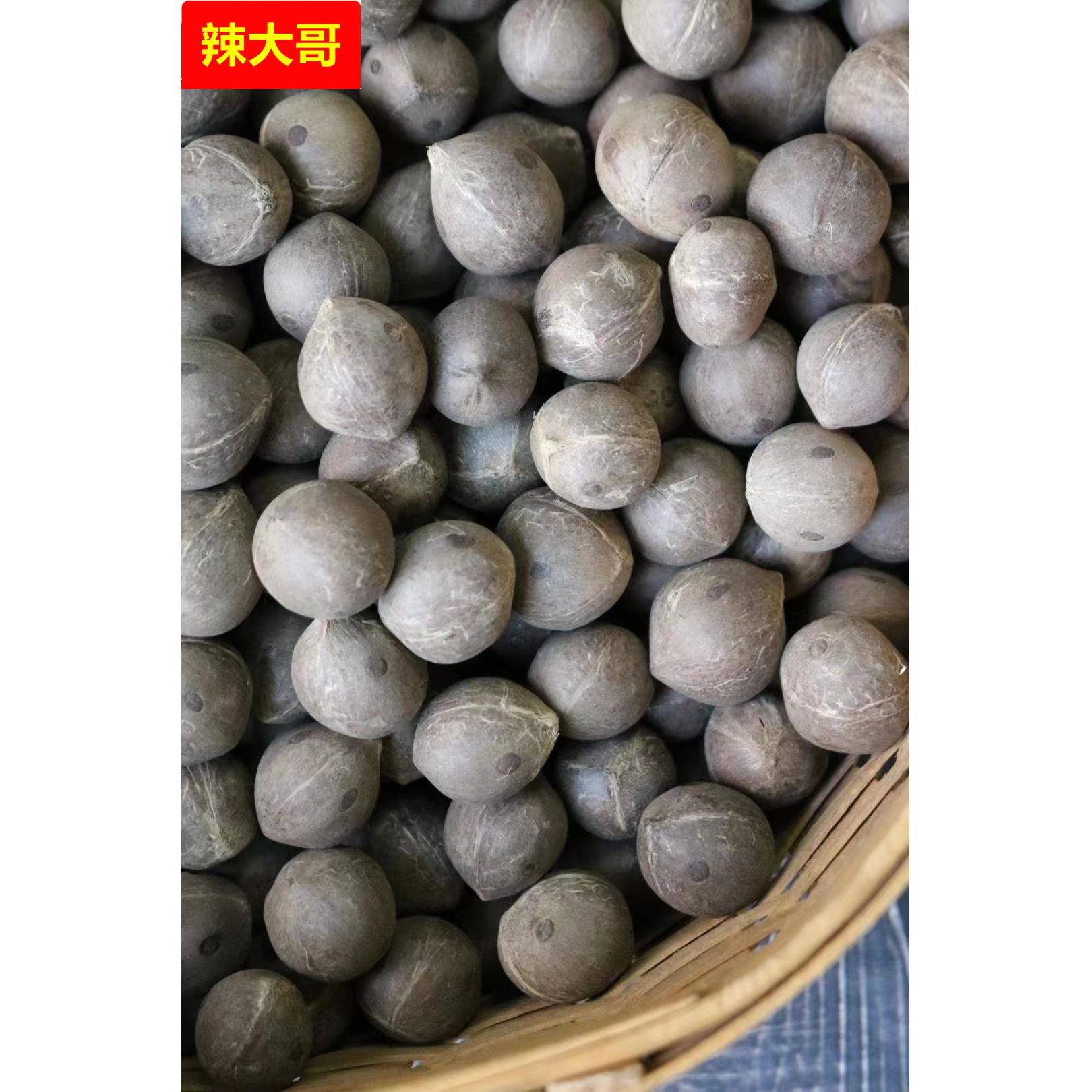 原个海椰皇小椰皇煲汤料带壳迷你小椰子商用椰子肉海南椰子鸡配料