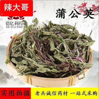 产地大货蒲公英中药材整颗蒲公英新货色青公英蒲公英切片500克