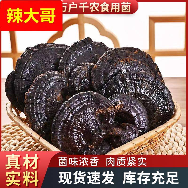 灵芝山东纯黑灵芝泡酒紫林芝整枝可煲汤切片茶