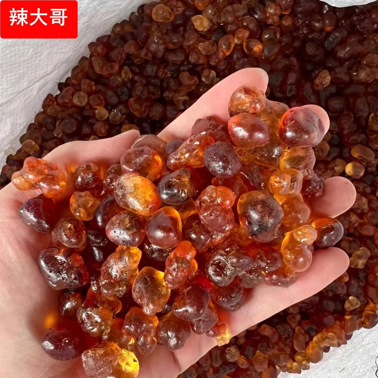 新货桃胶 机模水洗珍珠桃胶食用桃胶拉丝雪燕 皂角米厂家直销