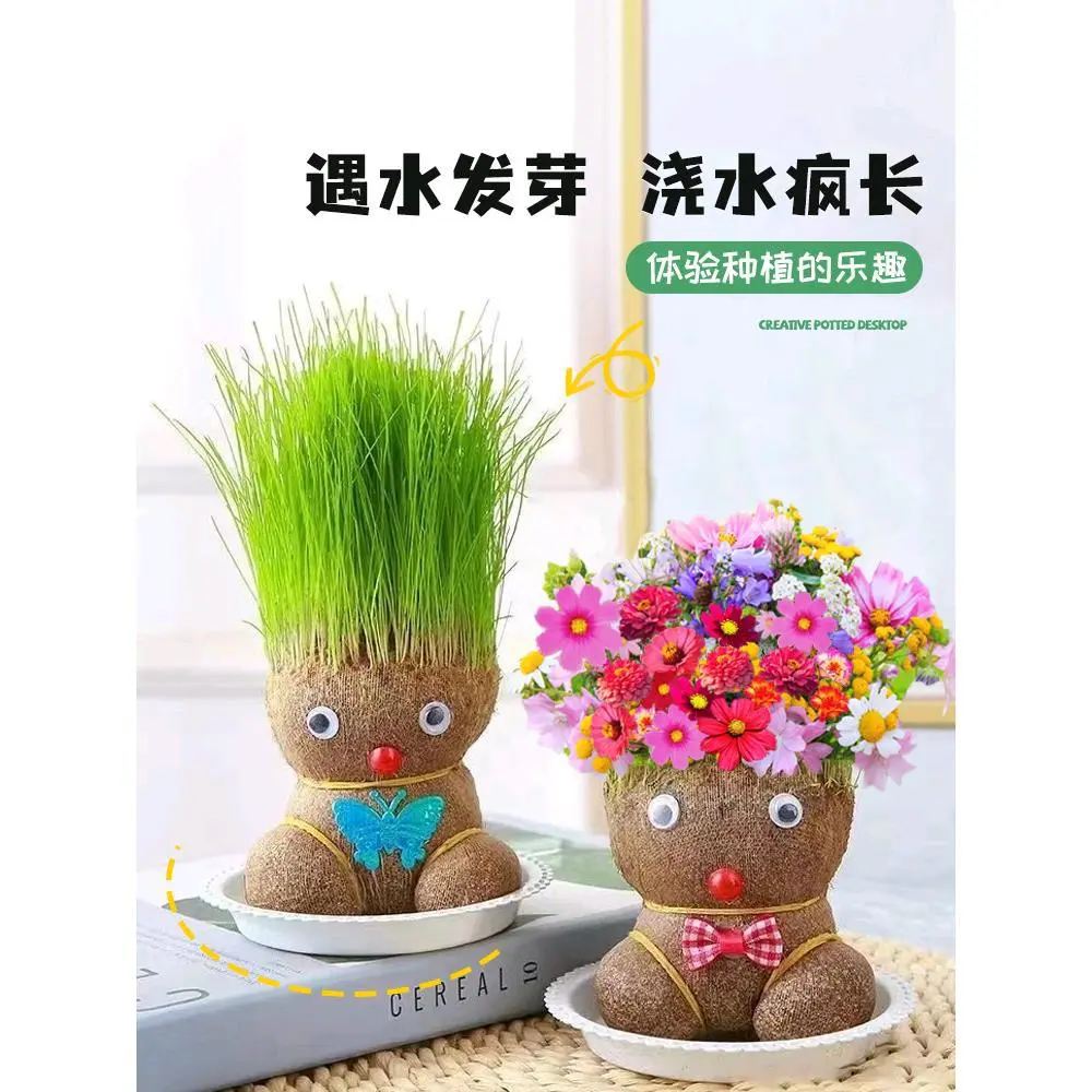 开花可爱长草猫草物小小草娃娃室内少儿创意