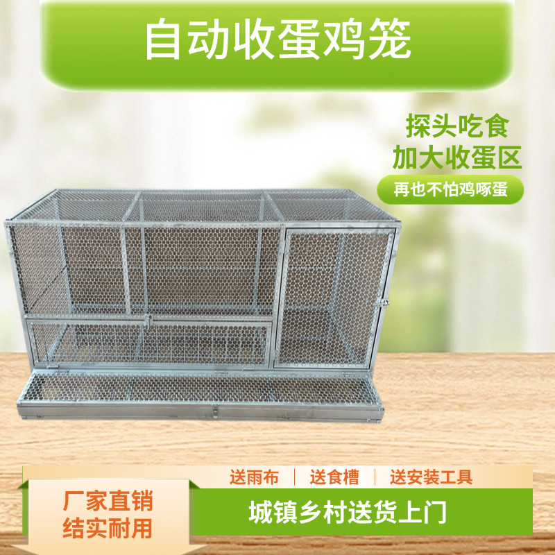 鸡笼自动收蛋笼鸡鸭鹅兔特厚镀锌防黄鼠狼防鸡啄蛋家用养殖笼大号