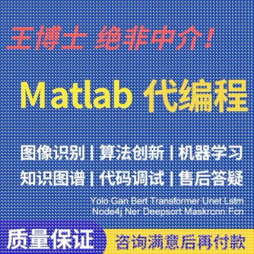 matlab代码帮做程序代编覆现问题解决simulink建模彷真代做