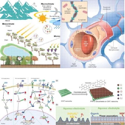 科研绘图封面信号通路医学SCI作图插画 机制图TOC摘要图画图 制图