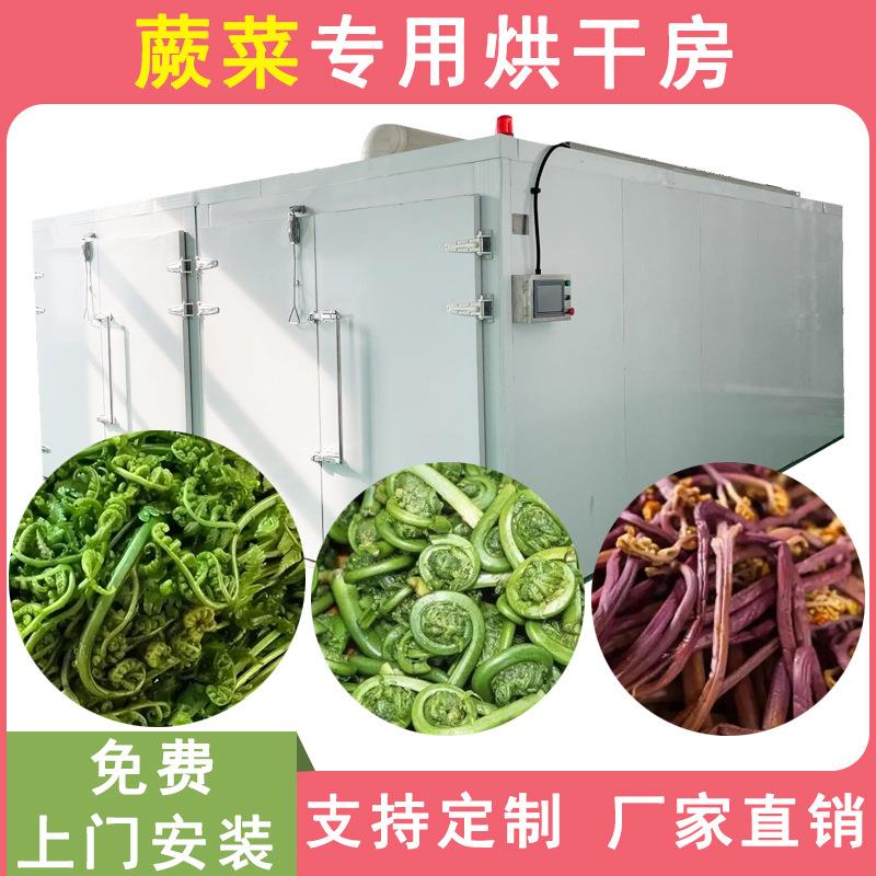 东北山野菜烘干机空气能热泵山蕨菜脱水烘干房苜蓿菜野菜烘干机