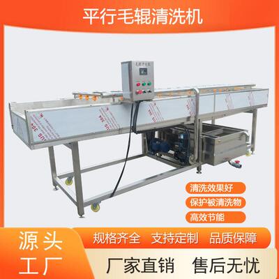 商用大型平行毛辊清洗机清洗水果根茎类蔬菜海产品中药材多功能
