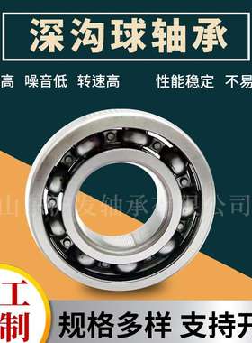 深沟球轴承 6236ZZ/2RS   铜保持器 贝氏体工艺 减速机 机床轴承