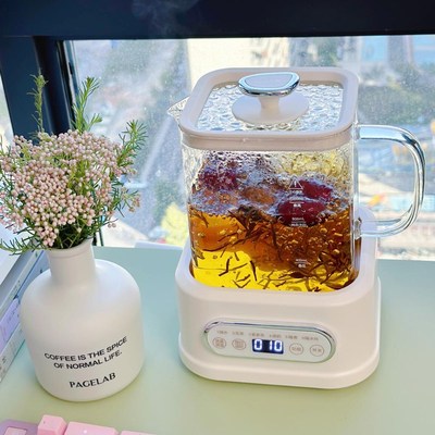 巴森小方炖养生壶不含胶全玻璃家用多功能大容量烧水壶办公室花茶