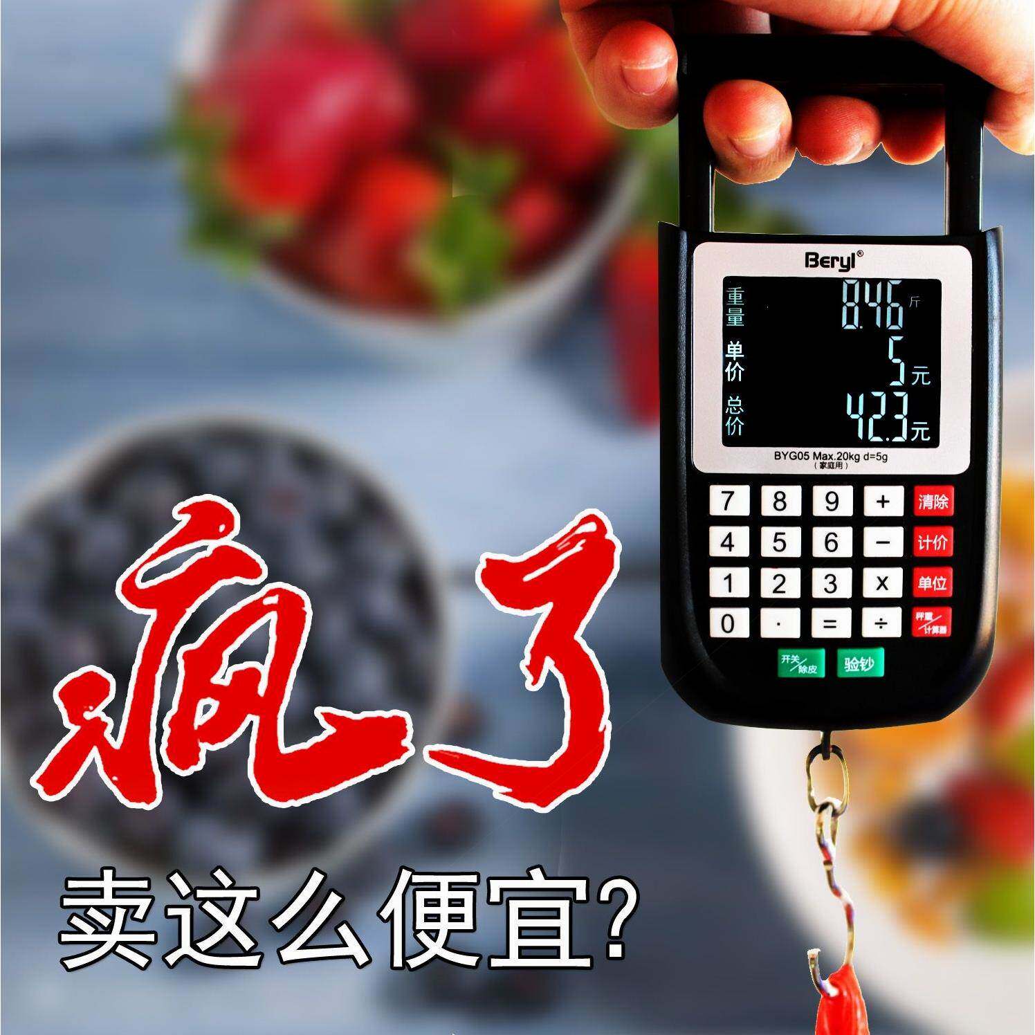 德国进口贝雅高精度计价电子秤精准手提秤弹簧钩秤快递行李称家用