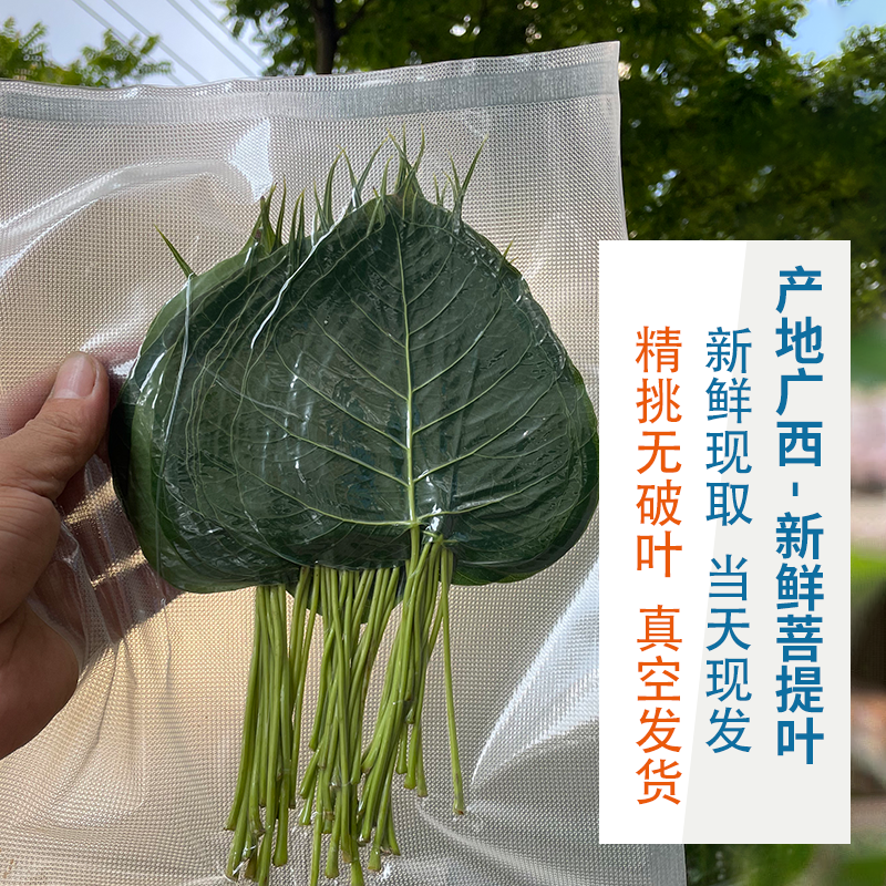 专用叶脉制作配材供应商