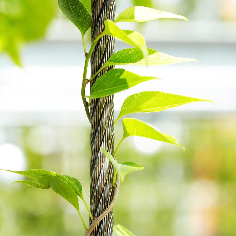 不锈钢绳网防护网高空防坠网楼梯防护网 鸟语林植物攀爬304安全网