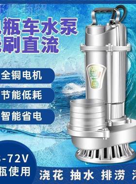 无花刷直流泵48V60V72V电瓶大车IHC抽潜水机农用灌溉家用浇流量水