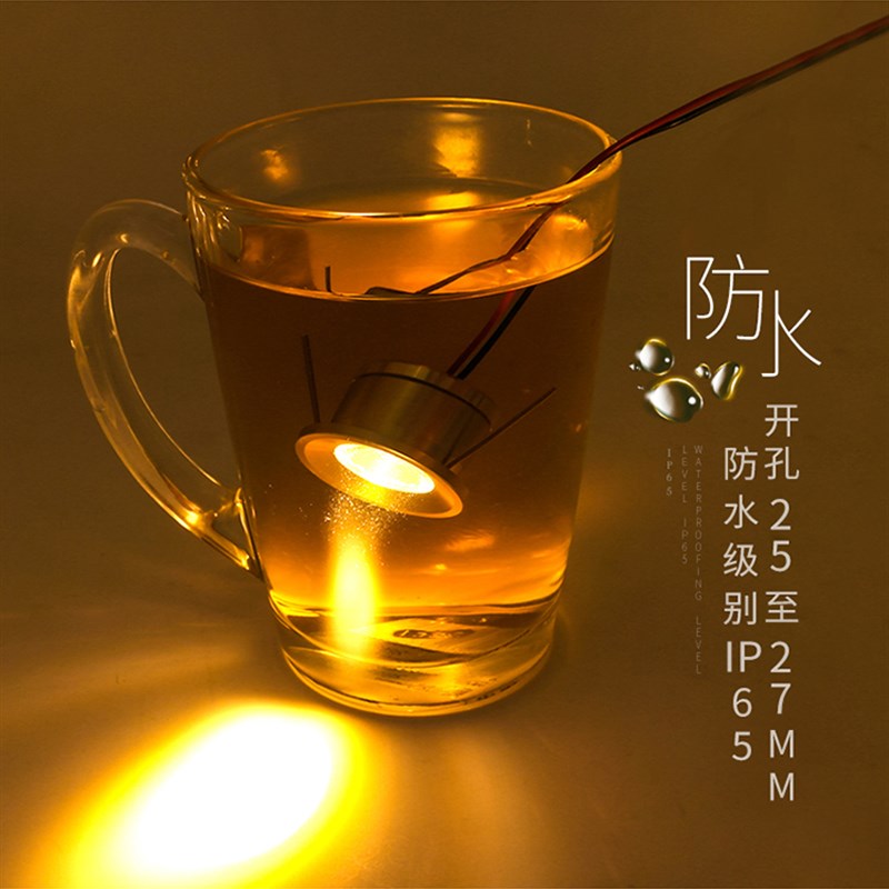 LED迷你小射灯1W防水防雾卫生间户外天花微型嵌入式12V聚光筒灯