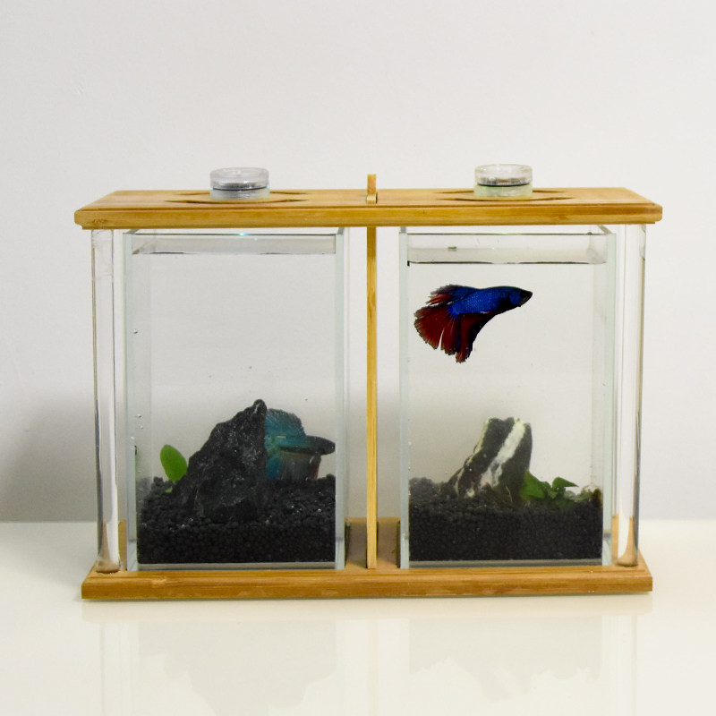 斗鱼专用缸双缸 办公室宿舍客厅桌面超白小型生态微景双格斗鱼缸,宠物/宠物食品及用品,桌面缸,淘宝优惠券,粉丝福利购,淘宝优惠卷