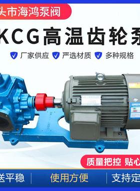 供应KCG20/0.6高温热油泵20立方0.6MPA造纸涂料泵2CG油泵齿轮泵