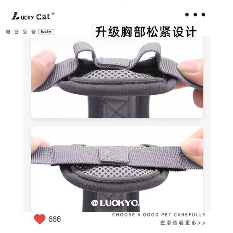 网红缅因猫咪牵引绳防挣脱外出遛猫牵引绳