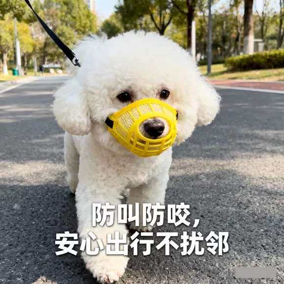比熊专用防咬防乱吃泰迪柯基口罩