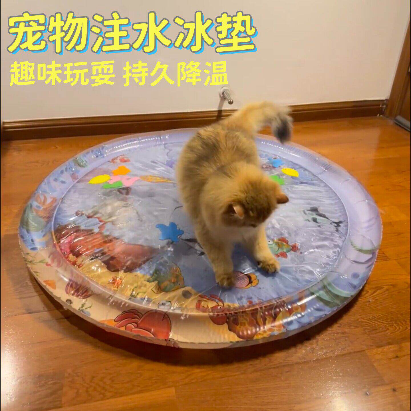 夏季猫狗注水冰垫降温加厚耐抓