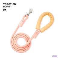 Dog leash, universal dog pet outings, thickened chain, small, medium and large dog explosion-proof and rinse dog walking rope thumbnail 2