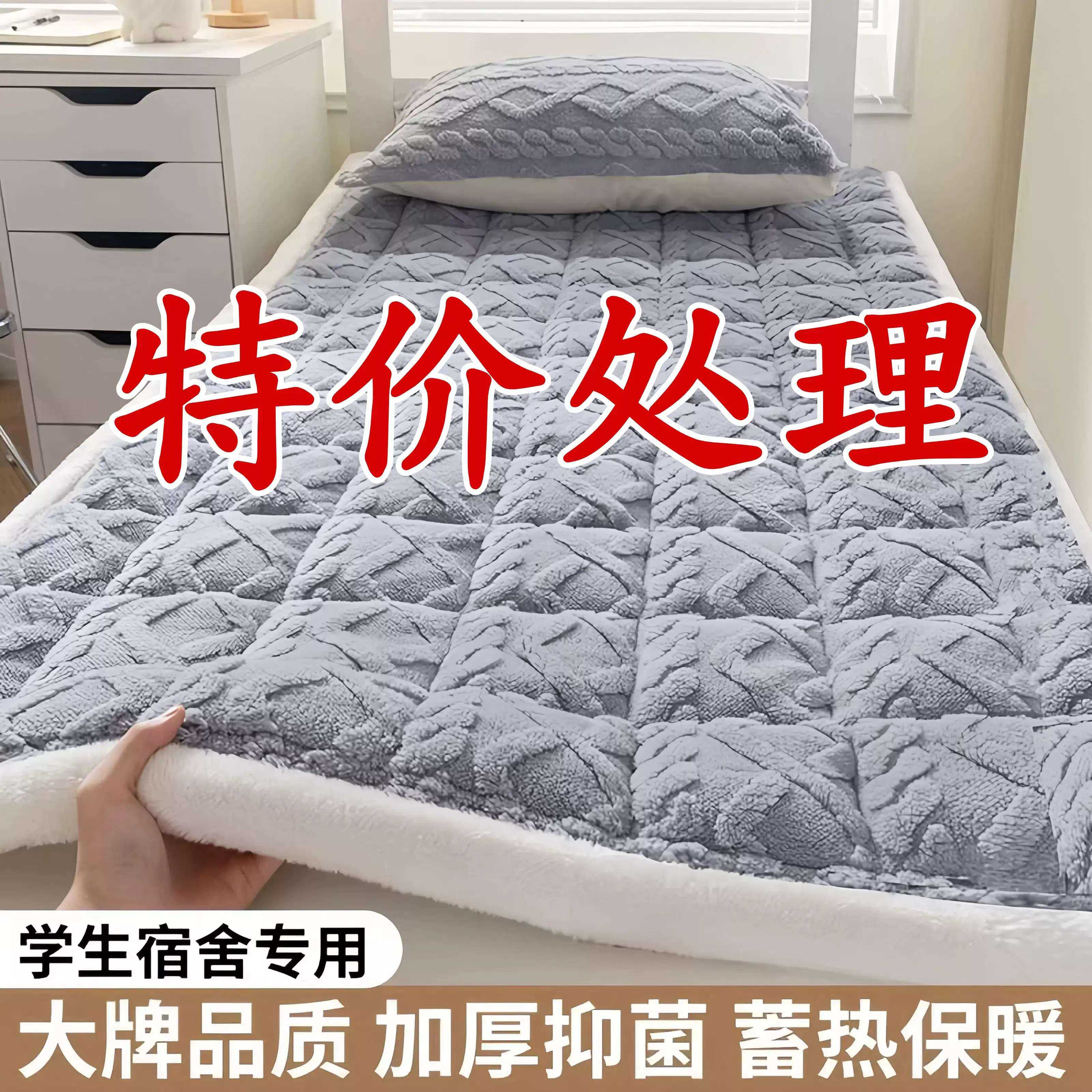 塔芙绒特厚床垫褥子软垫家用床毯
