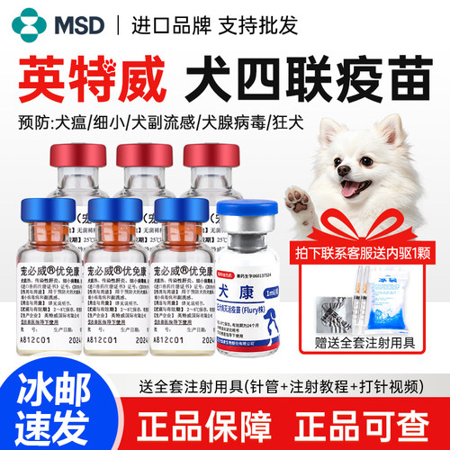 英特威优免康宠必威狗狗四联疫苗