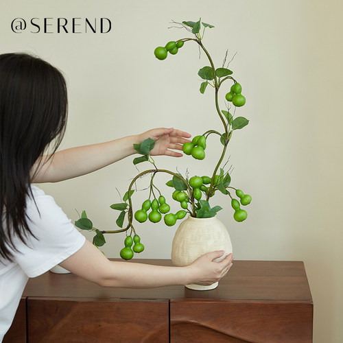 北欧简约客厅餐厅仿真绿果枝摆件