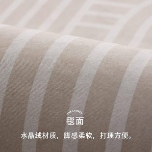 客厅地毯高级风地垫加厚茶几毯奶油轻奢沙发 茶几毯卧室大尺寸新款