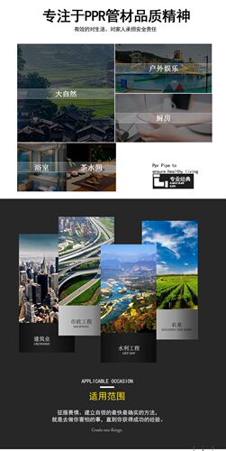 PPR顺水弯头大弯内丝外丝铜活接活接头大流量20 4分水管管材配件