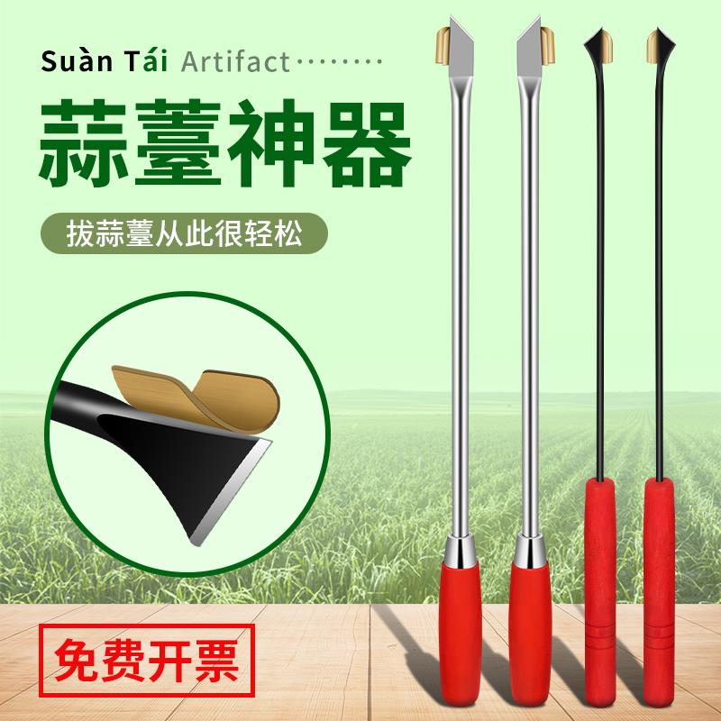kt蒜苔收割刀拔苔工蒜具蒜薹刀加长不锈抽蒜苔打蒜蒜钢kt7号仓1苗