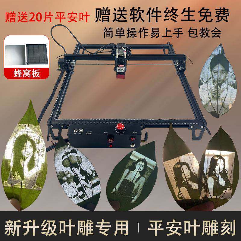 树叶照片diy激光雕雕刻机金木板不锈JFP钢皮属革可刻户外便摆摊捷