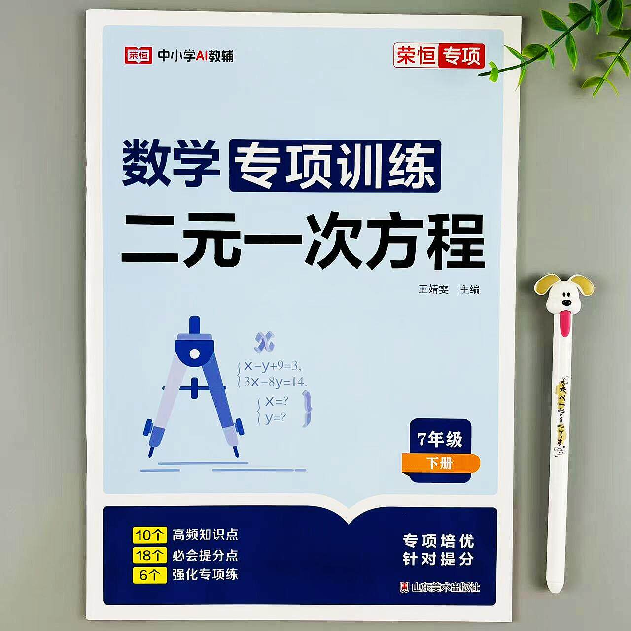 数学二元一次方程专项训练