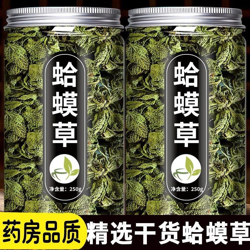 中药蛤蟆草新鲜中草药干货荔枝草赖蛤蟆草正品非野生蛤蟆草的功效