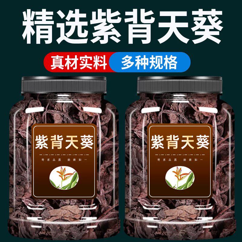 野生紫背天葵中药材500g克官方旗舰店红天葵子红水葵散血子中草药