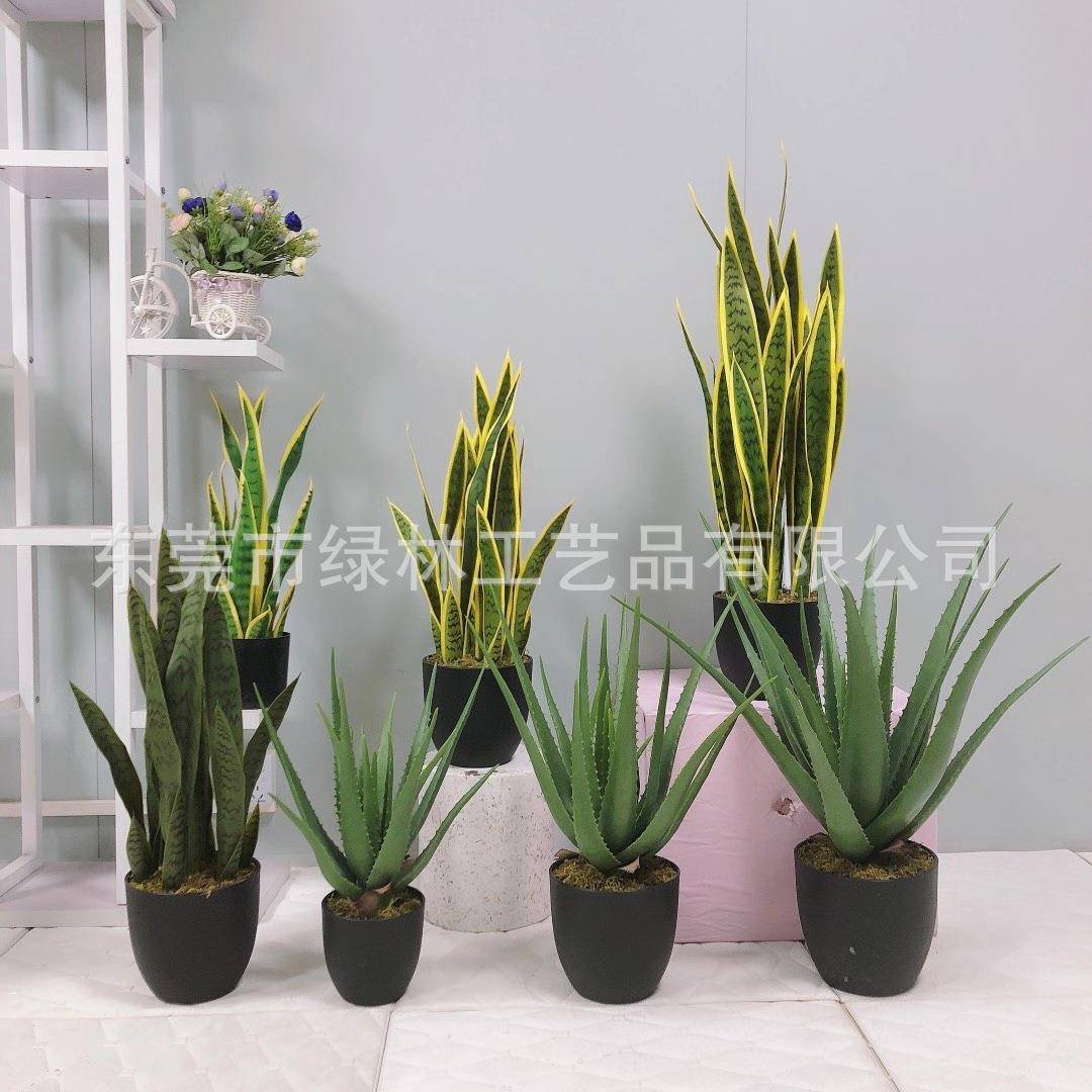 仿真虎皮兰芦荟落地盆栽家居店铺装饰橱窗摆件落地盆栽