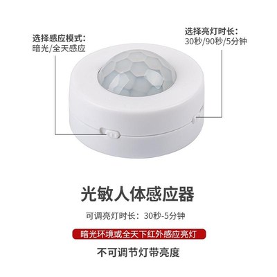 智能人体感应开关LED灯 DC接口5v12v24v夜晚自动亮灯插电控制器