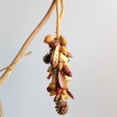 软装 五谷丰收果串 饰 天然干花干果 会所装 零利润 橱窗 玄关