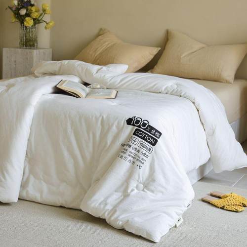 新款A类母婴级全棉春秋冬被纯棉大豆纤维被夏季被子被芯