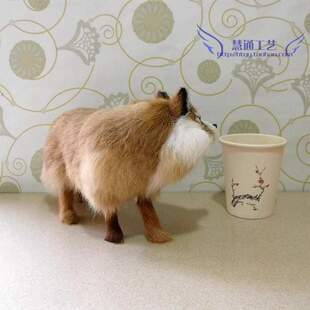 仿真狐狸宠物狐狸 白狐摆件装饰 狐狸白狐狸赤狐