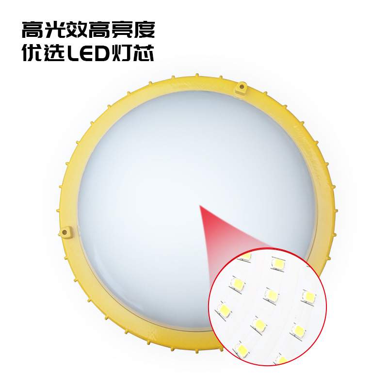 led防爆灯平台灯 BPC8766吸顶灯BPC8767防眩泛光灯30W50W