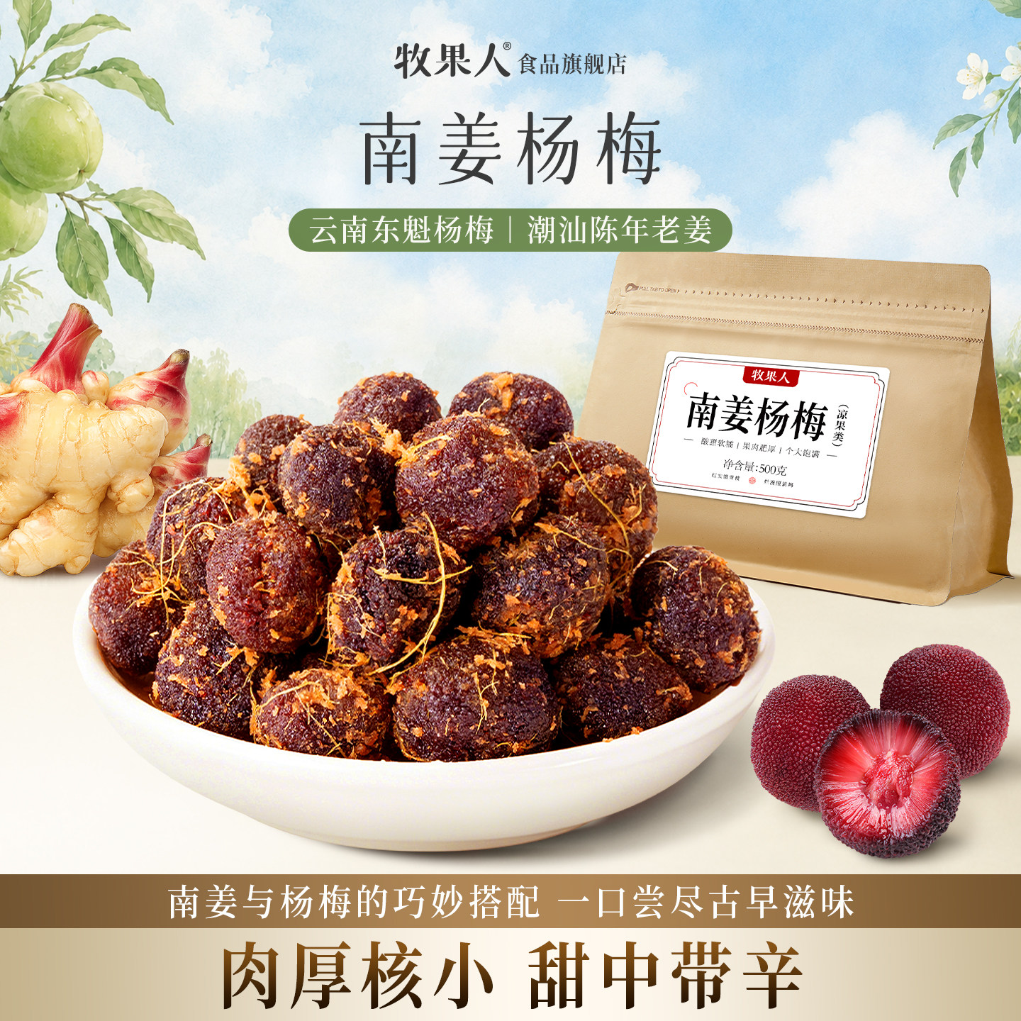 牧果人南姜杨梅500g网红潮汕特产杨梅干果脯开胃解腻办公室零食