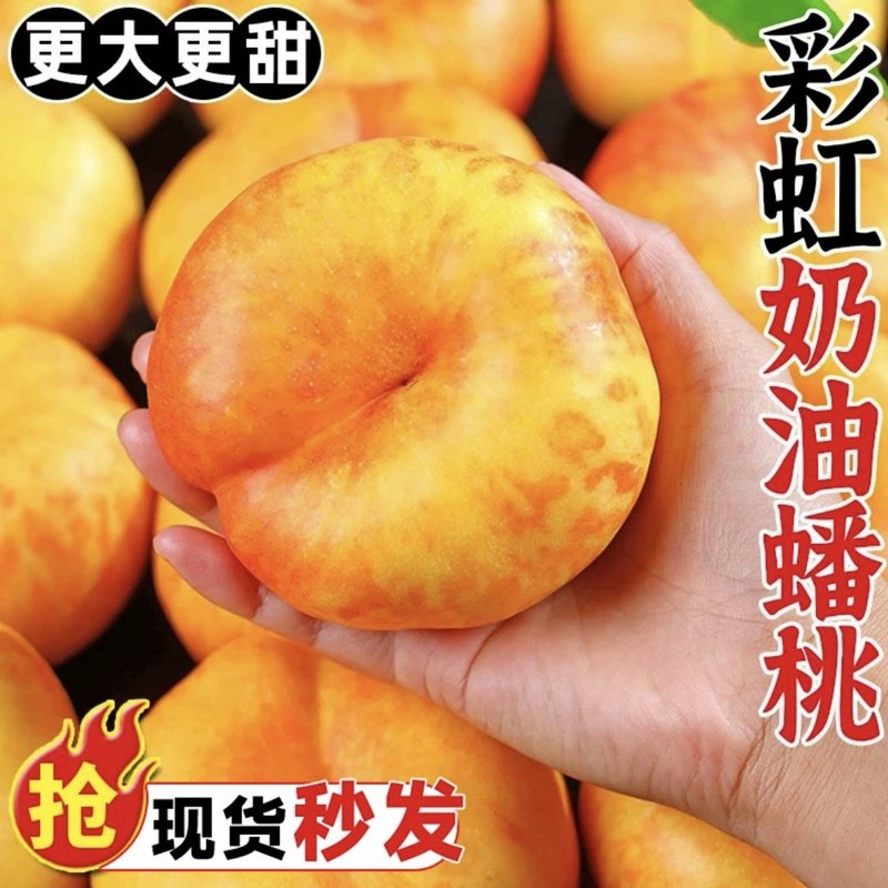 山东彩虹油蟠桃桃子新鲜油桃软硬两吃果皮薄甜嫩多汁产地直发