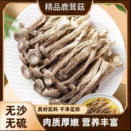 XY精品鹿茸菇 脆嫩爽口  干货到手两包