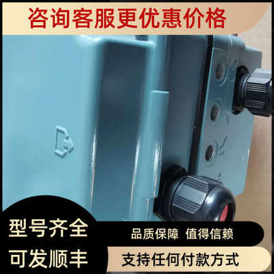 议价SRI986阀门定位器 SRI986-CIDU7EAANA ECKARDT SRI986-CIDU7E