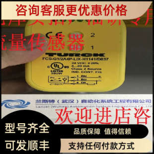 VRX 2A4P 230VAC图尔克流量开关 议价FCS