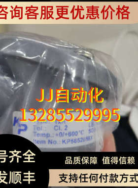 议价KP 温度探头 KP5852056X