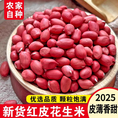 东北红皮花生2025年农家新货不带壳新鲜晒干四粒红花生米生熟可选