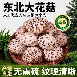 新货花菇特级厚肉花菇干货剪脚无根香菇山珍特产煲汤炖菜炖鸡食材