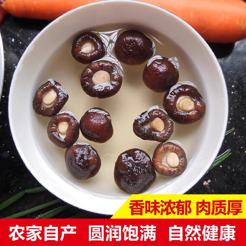 正宗古田金钱菇新货晾晒珍珠菇剪脚无根肉厚火锅炒菜提鲜干货,传统滋补营养品,药膳养生粉/羹/糊,淘宝优惠券,粉丝福利购,淘宝优惠卷