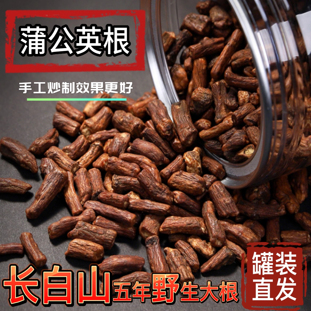 特级野生蒲公英根茶正品官方旗舰店长白山炒浦公英的根茶根大罐
