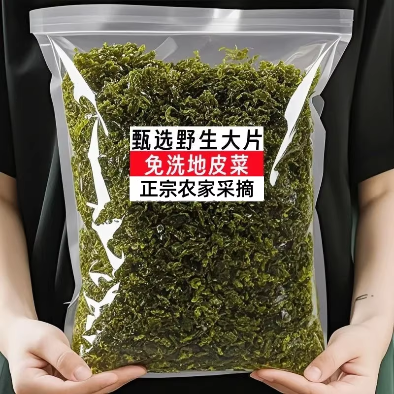 【免洗地皮菜】地皮菜特级纯天然新鲜野生干货地软地达菜地耳煲汤